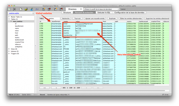 cookies.sqlite: a lot of info: email and billing info used by the attacker